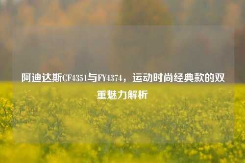 阿迪达斯CF4351与FY4374，运动时尚经典款的双重魅力解析