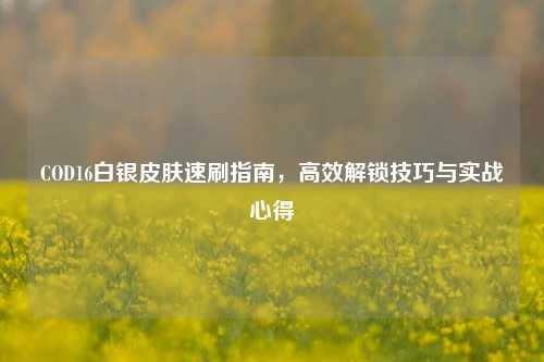 COD16白银皮肤速刷指南，高效解锁技巧与实战心得