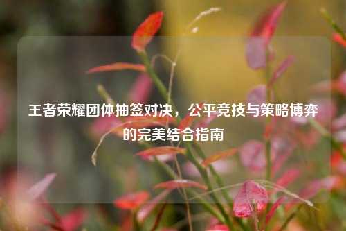 王者荣耀团体抽签对决，公平竞技与策略博弈的完美结合指南