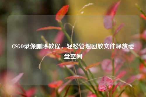 CSGO录像删除教程,轻松管理回放文件释放硬盘空间