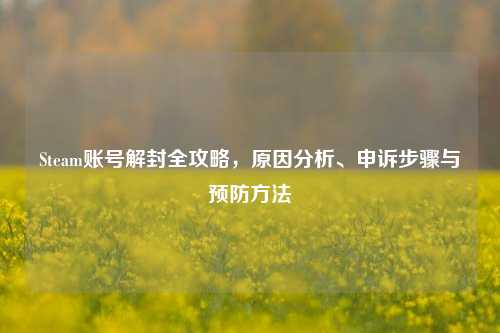 Steam账号解封全攻略，原因分析、申诉步骤与预防方法