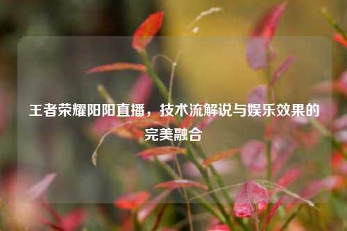 王者荣耀阳阳直播，技术流解说与娱乐效果的完美融合