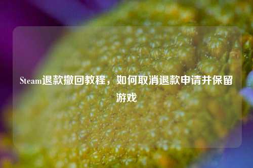 Steam退款撤回教程，如何取消退款申请并保留游戏