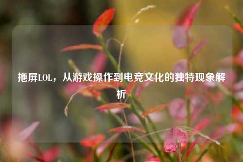拖屏LOL，从游戏操作到电竞文化的独特现象解析