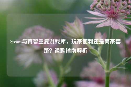 Steam与育碧重复游戏库,玩家便利还是商家套路?退款指南解析