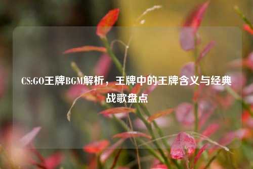 CS:GO王牌BGM解析，王牌中的王牌含义与经典战歌盘点