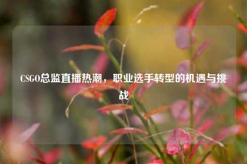 CSGO总监直播热潮,职业选手转型的机遇与挑战