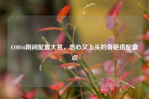 COD16阴间配置大赏,恶心又上头的奇葩搭配盘点