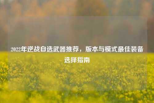 2022年逆战自选武器推荐,版本与模式最佳装备选择指南