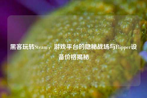 黑客玩转Steam,游戏平台的隐秘战场与Flipper设备价格揭秘