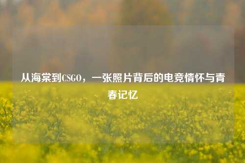 从海棠到CSGO,一张照片背后的电竞情怀与青春记忆