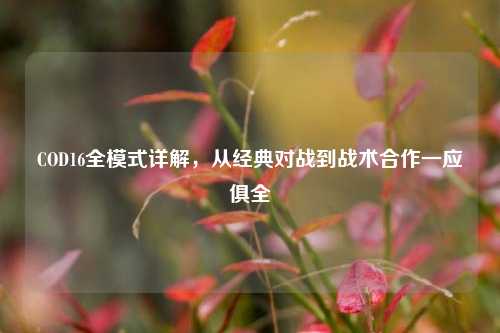 COD16全模式详解，从经典对战到战术合作一应俱全