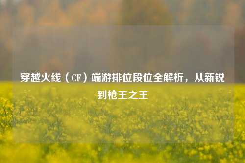 穿越火线（CF）端游排位段位全解析，从新锐到枪王之王