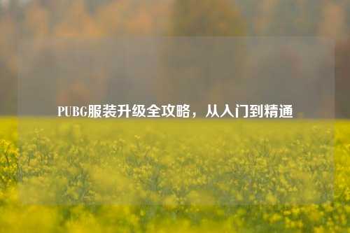 PUBG服装升级全攻略，从入门到精通