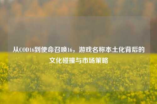 从COD16到使命召唤16，游戏名称本土化背后的文化碰撞与市场策略