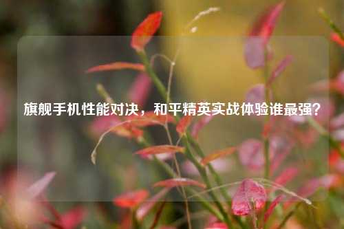 旗舰手机性能对决,和平精英实战体验谁最强?