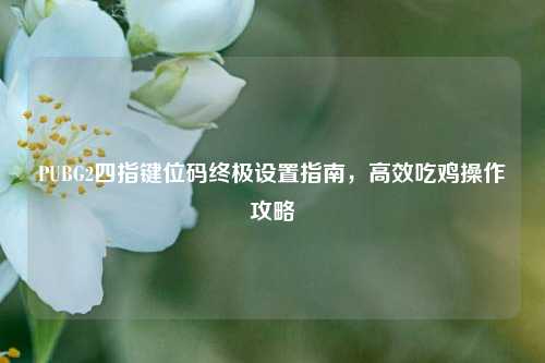 PUBG2四指键位码终极设置指南，高效吃鸡操作攻略