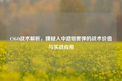 CSGO战术解析，嫌疑人中路烟雾弹的战术价值与实战应用