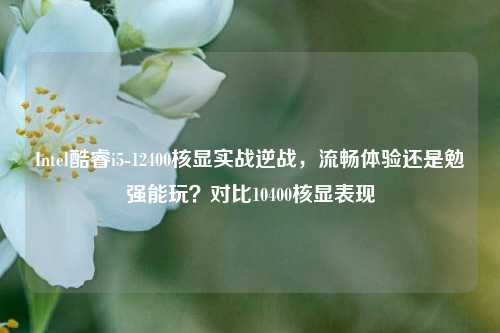 Intel酷睿i5-12400核显实战逆战，流畅体验还是勉强能玩？对比10400核显表现