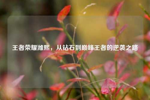 王者荣耀潍熙，从钻石到巅峰王者的逆袭之路