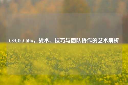 CS:GO A Min，战术、技巧与团队协作的艺术解析