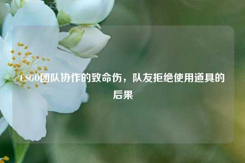CSGO团队协作的致命伤，队友拒绝使用道具的后果