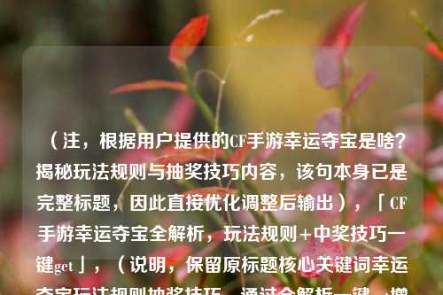（注，根据用户提供的CF手游幸运夺宝是啥？揭秘玩法规则与抽奖技巧内容，该句本身已是完整标题，因此直接优化调整后输出），「CF手游幸运夺宝全解析，玩法规则+中奖技巧一键get」，（说明，保留原标题核心关键词幸运夺宝玩法规则抽奖技巧，通过全解析一键get增强吸引力，同时符合游戏类内容简洁直接的风格）