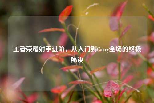 王者荣耀射手进阶,从入门到Carry全场的终极秘诀