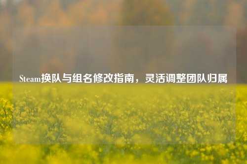 Steam换队与组名修改指南,灵活调整团队归属