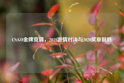 CS:GO金牌竞猜,2019激情对决与2020奖章前瞻