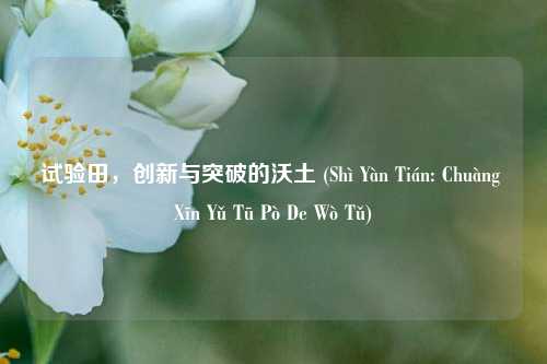试验田，创新与突破的沃土 (Shì Yàn Tián: Chuàng Xīn Yǔ Tū Pò De Wò Tǔ)