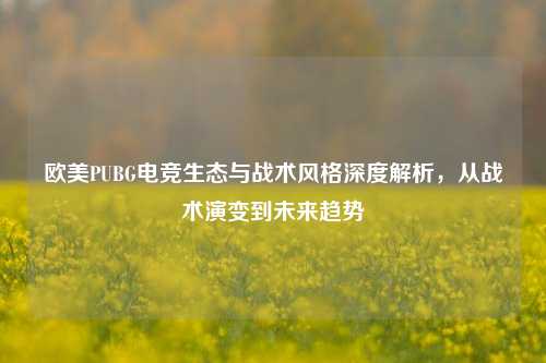 欧美PUBG电竞生态与战术风格深度解析，从战术演变到未来趋势