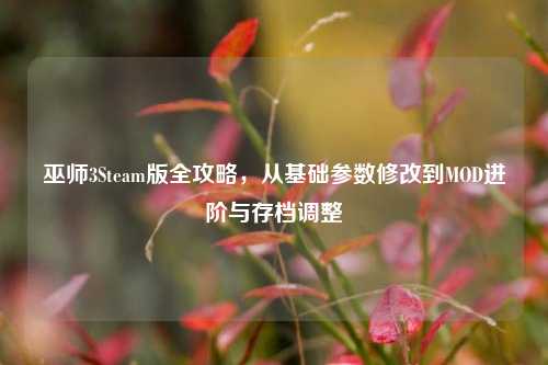 巫师3Steam版全攻略,从基础参数修改到MOD进阶与存档调整