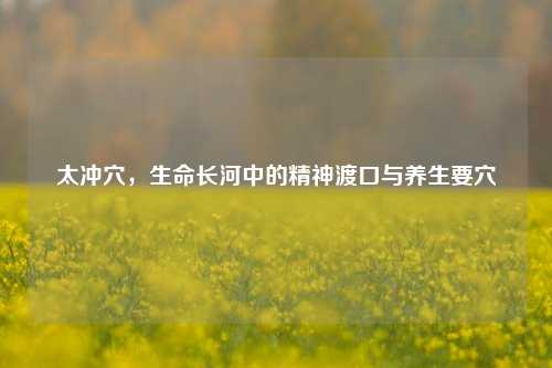 太冲穴,生命长河中的精神渡口与养生要穴