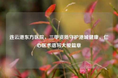 连云港东方医院,三甲资质守护港城健康,仁心医术谱写大爱篇章