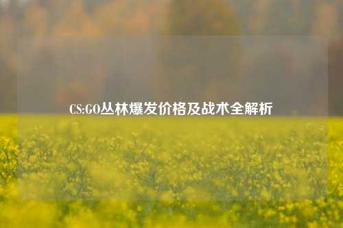 CS:GO丛林爆发价格及战术全解析