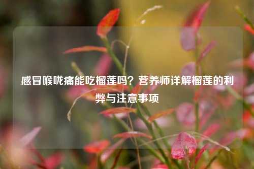 感冒喉咙痛能吃榴莲吗？营养师详解榴莲的利弊与注意事项