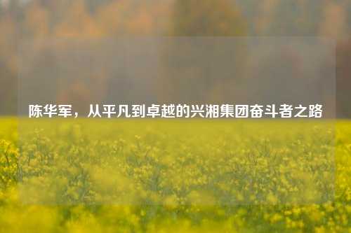 陈华军，从平凡到卓越的兴湘集团奋斗者之路