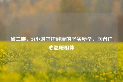 省二院，24小时守护健康的坚实堡垒，医者仁心温暖相伴