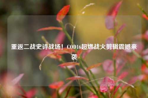 重返二战史诗战场！COD16超燃战火剪辑震撼来袭