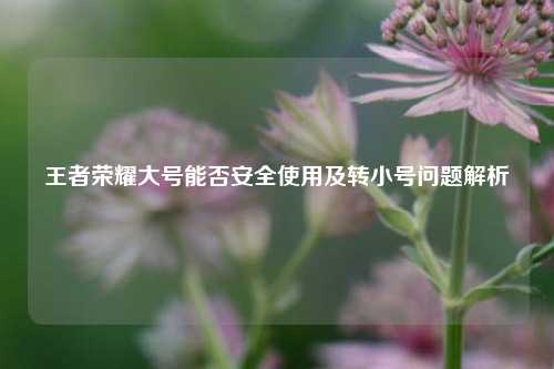 王者荣耀大号能否安全使用及转小号问题解析