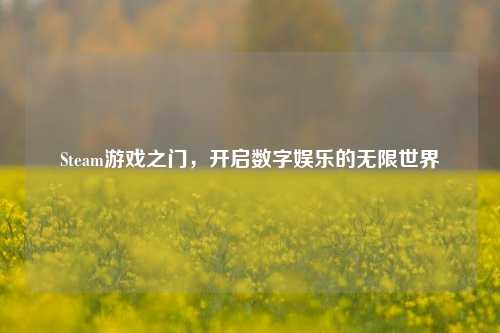Steam游戏之门，开启数字娱乐的无限世界