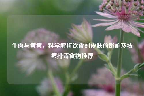 牛肉与痘痘,科学解析饮食对皮肤的影响及祛痘排毒食物推荐