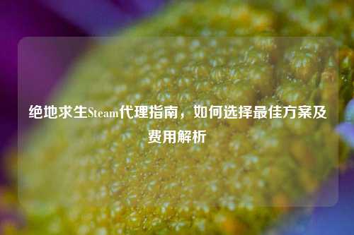 绝地求生Steam代理指南，如何选择最佳方案及费用解析