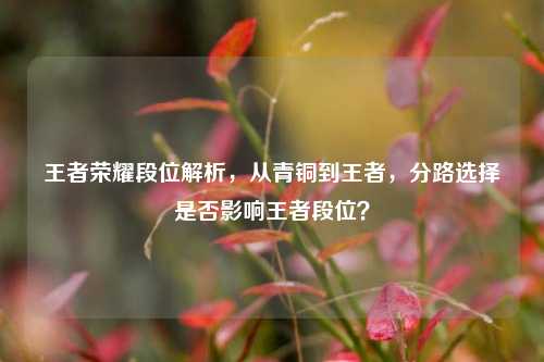 王者荣耀段位解析,从青铜到王者,分路选择是否影响王者段位?