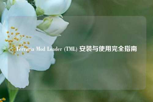 Terraria Mod Loader (TML) 安装与使用完全指南