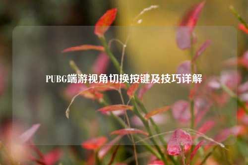 PUBG端游视角切换按键及技巧详解