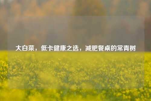 大白菜,低卡健康之选,减肥餐桌的常青树