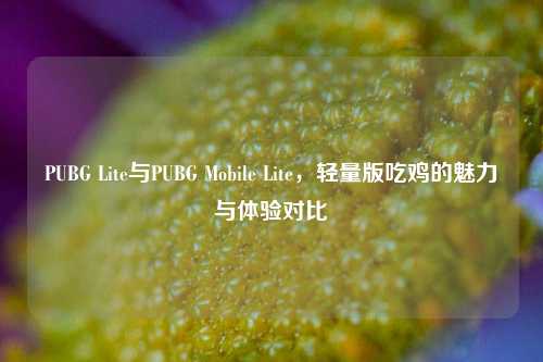 PUBG Lite与PUBG Mobile Lite，轻量版吃鸡的魅力与体验对比