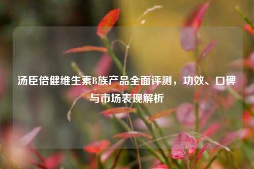 汤臣倍健维生素B族产品全面评测，功效、口碑与市场表现解析